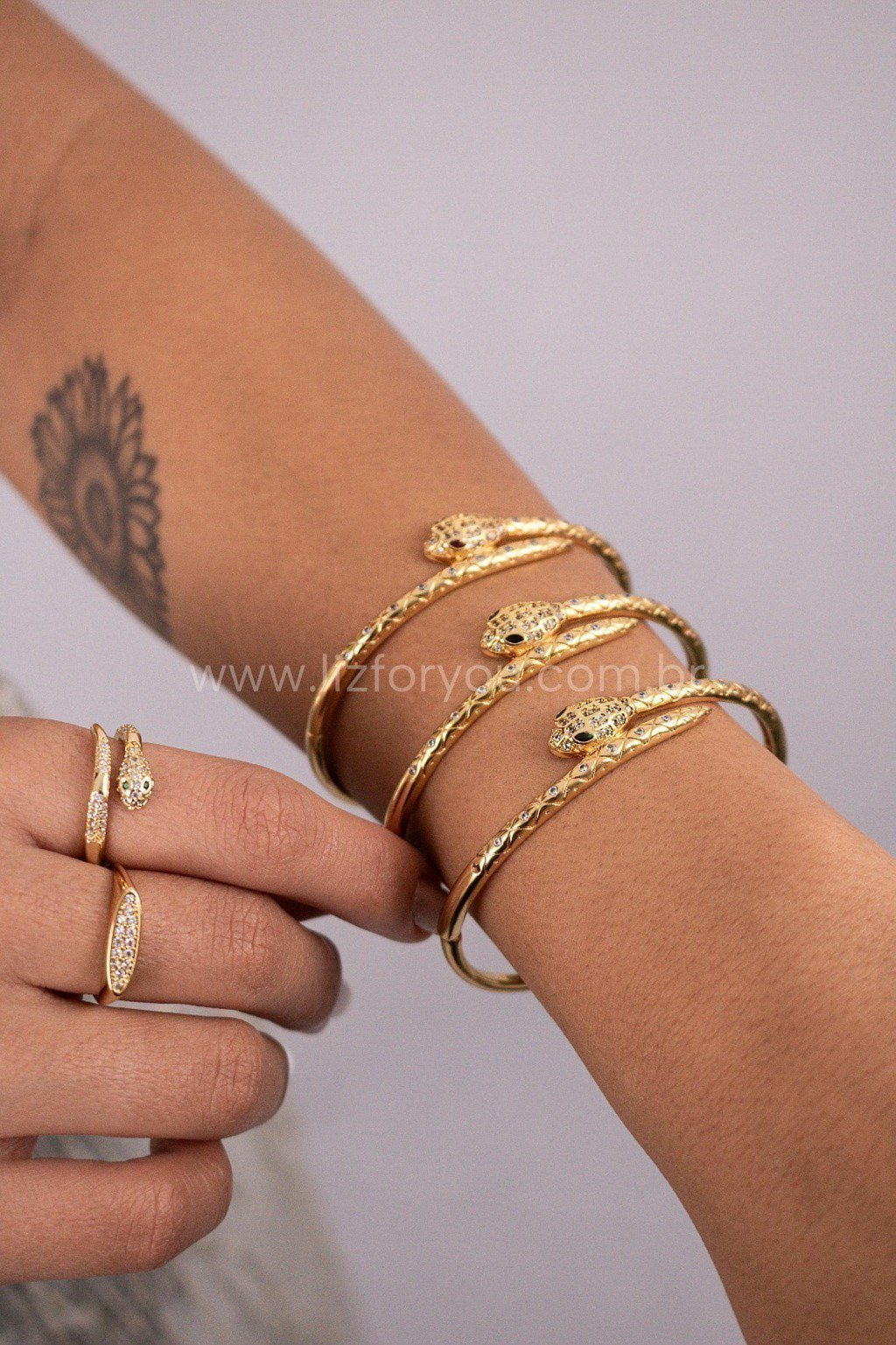 Bracelete Snake 