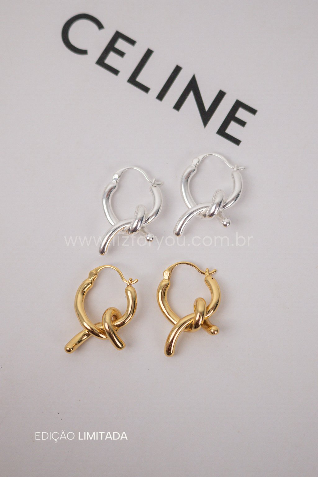 Brinco Argola Wire