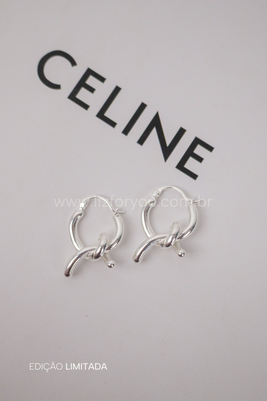 Brinco Argola Wire